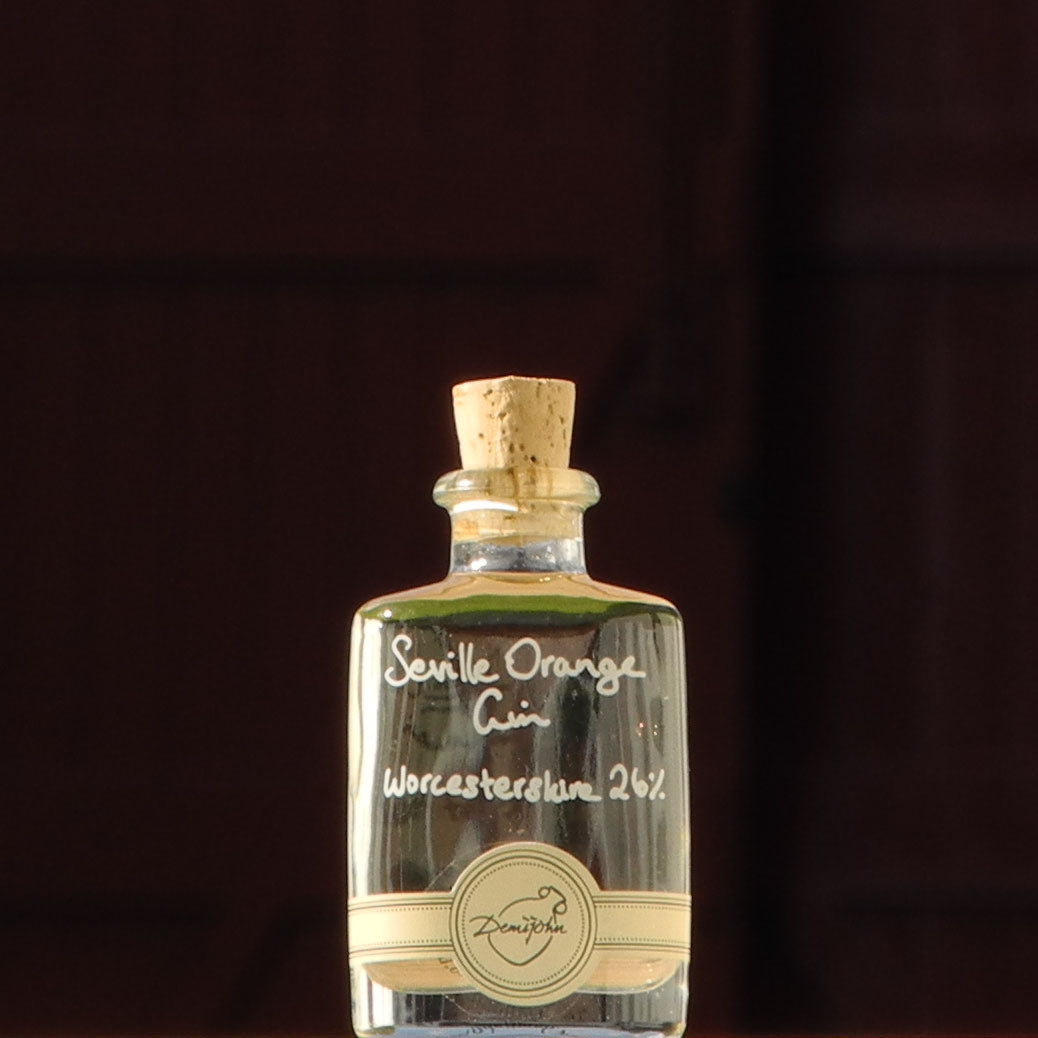 Seville Orange Gin 50ml Alcohol Miniature