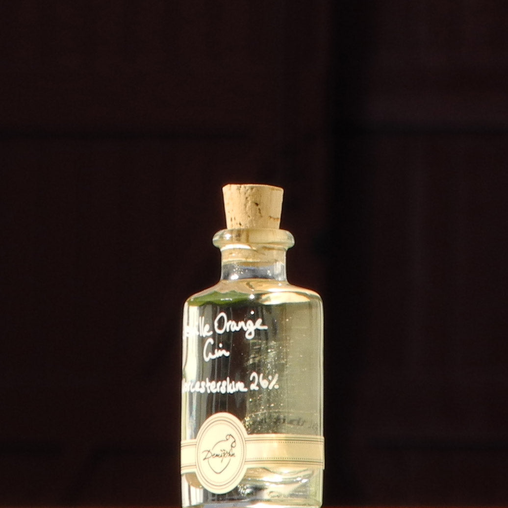 Seville Orange Gin 50ml Alcohol Miniature