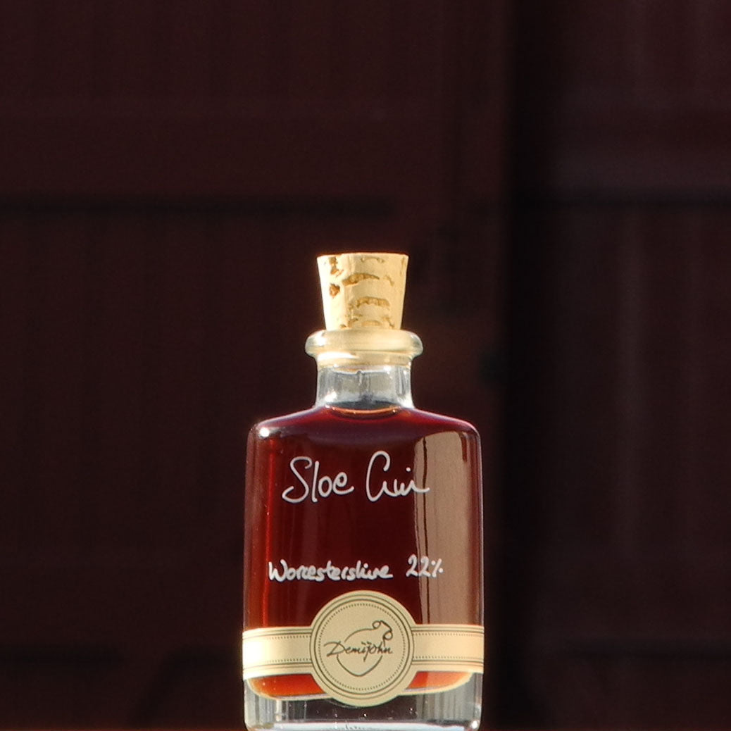 Sloe Gin 50ml Alcohol Miniature