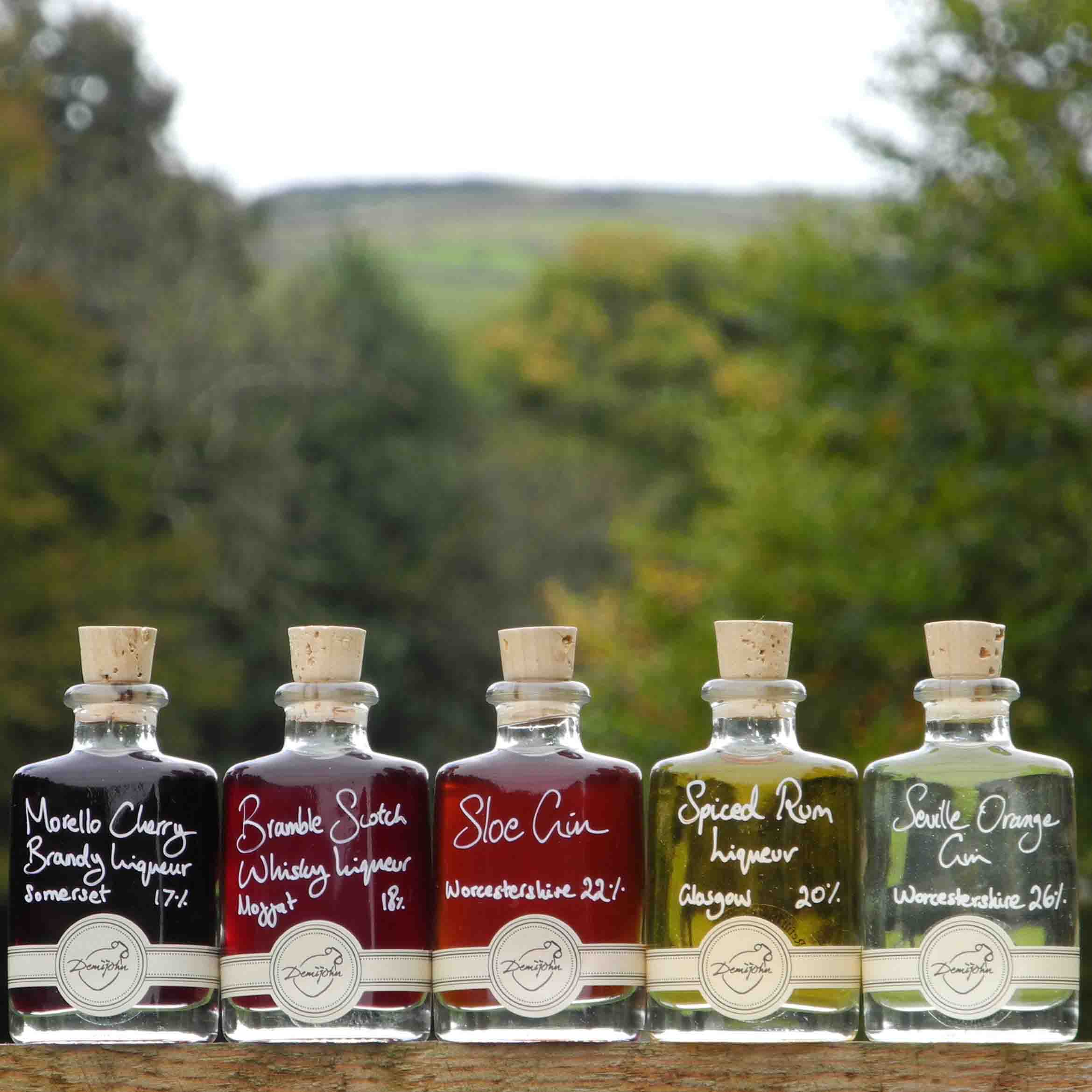 The Mini Winter Hipflask Collection Set of 5 Liqueur 50ml Alcohol Miniatures with Morello Cherry Brandy Liqueur Bramble Scotch Whisky Liqueur Sloe Gin Spiced Rum Liqueur and Seville Orange Gin