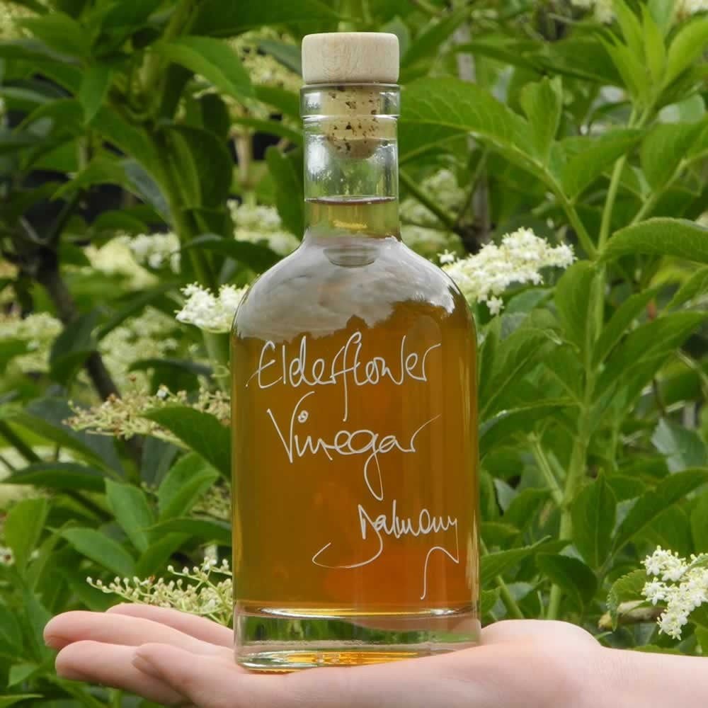 Nocturne of Elderflower Vinegar